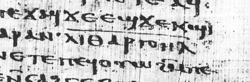 Ausschnitt aus den Papyri von Nag Hammadi